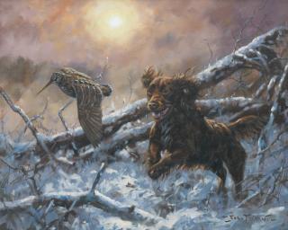 John Trickett - Cocker Spaniel Flushing Woodcock