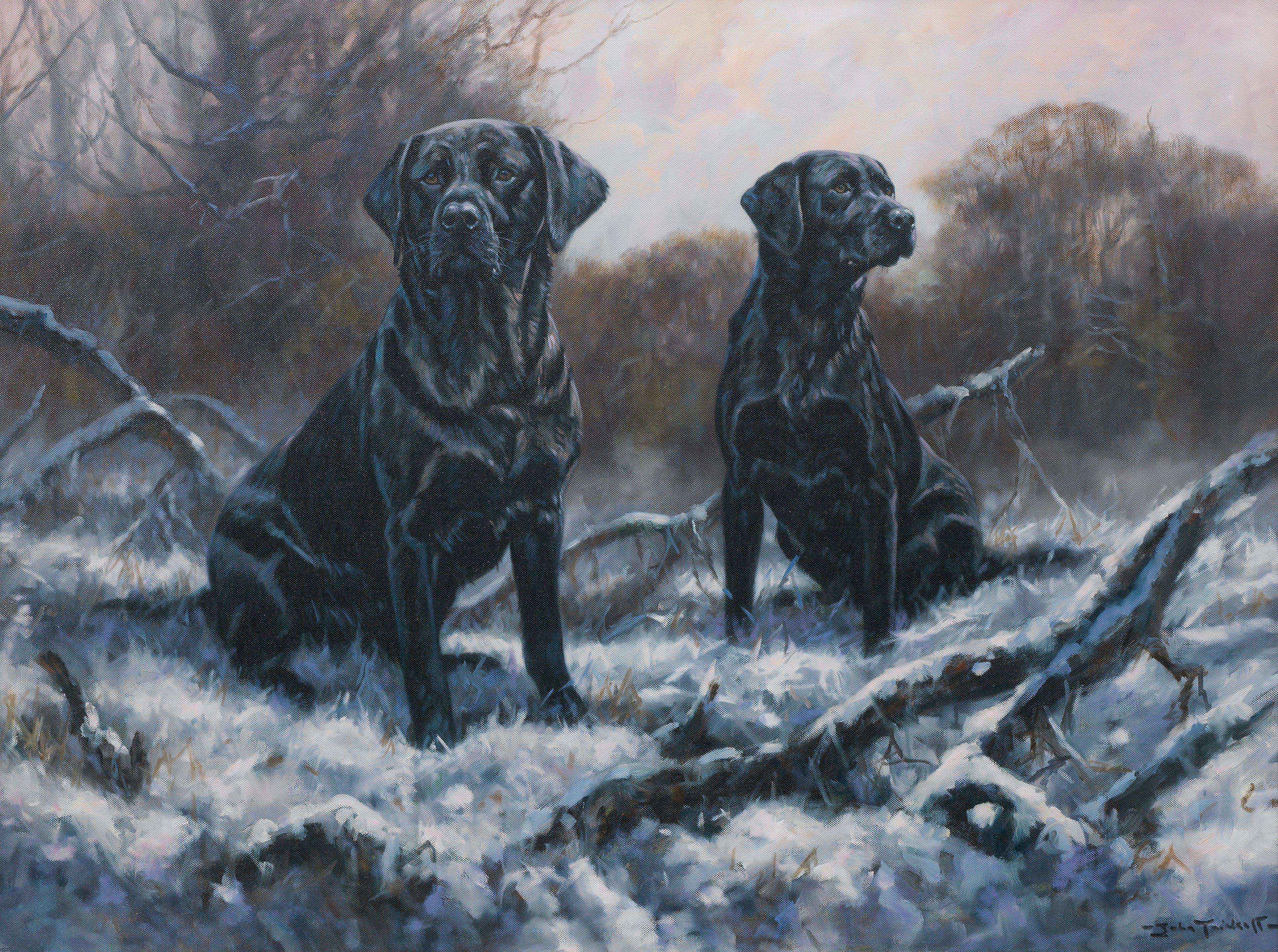 John Trickett - England\'s Finest - Black Labradors