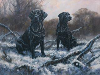 John Trickett - England\'s Finest - Black Labradors