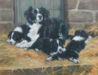 John Trickett - Motherhood - Border Collies