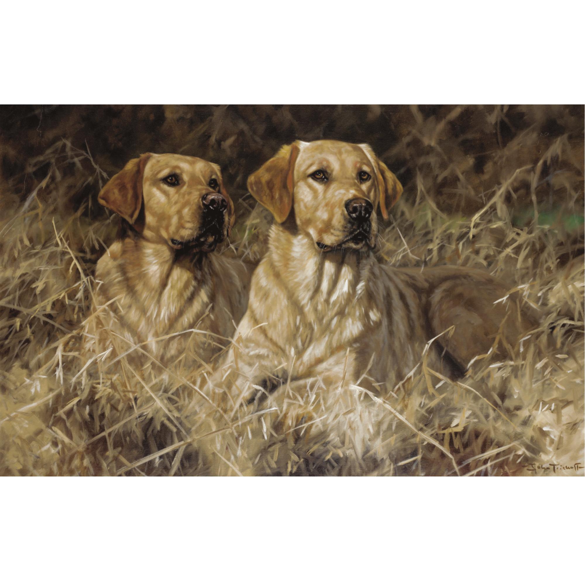 John Trickett - Old School