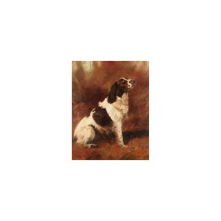 John Trickett - Portrait Of The English Springer Spaniel, Sherbert Of Tostock