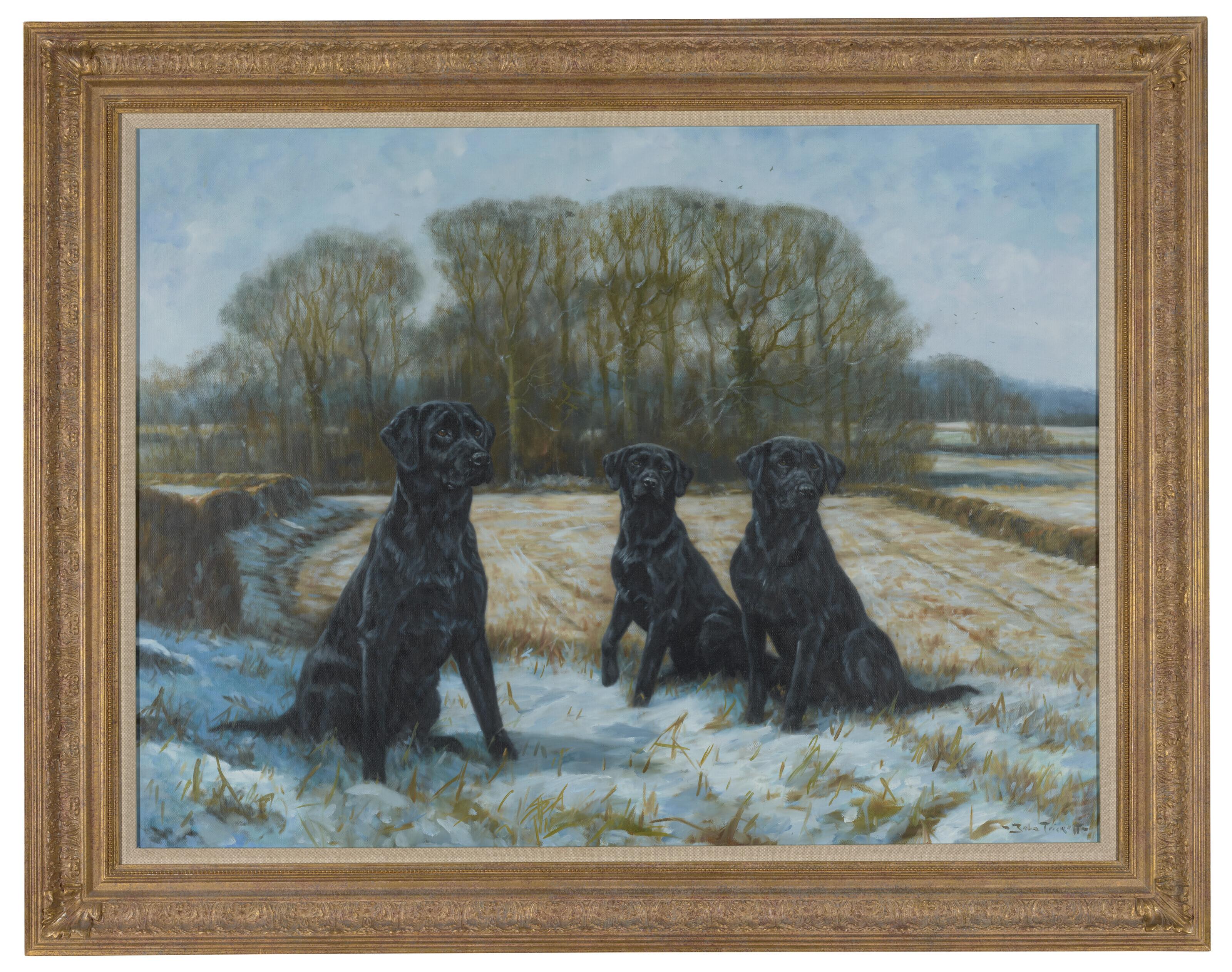 John Trickett - Ready, willing and able