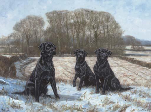 John Trickett - Ready, willing and able