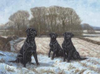 John Trickett - Ready, willing and able