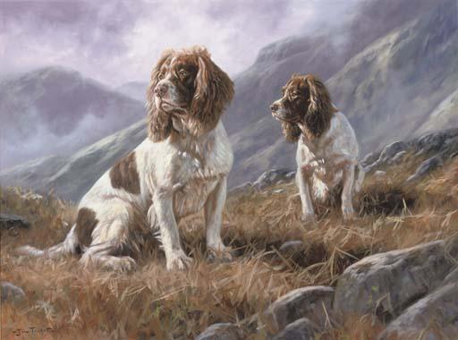 John Trickett - Springer spaniels on the moor