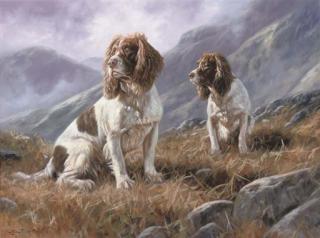 John Trickett - Springer spaniels on the moor