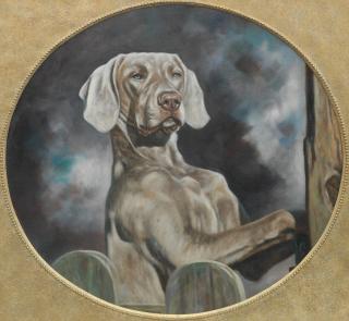 John Trickett - The Gatekeeper - Weimaraner