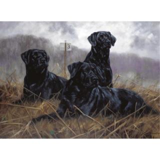 John Trickett - The Waiting Game