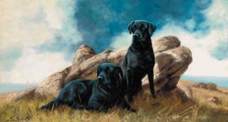 John Trickett - Two Black Labradors By A Rocky Outcrop