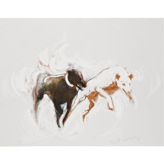 John Vallely - Racing Dogs