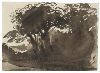 John Varley, O.W.S. - Study of trees