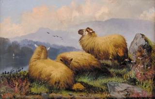 John W. Morris - Sheep resting in a Highland landscape