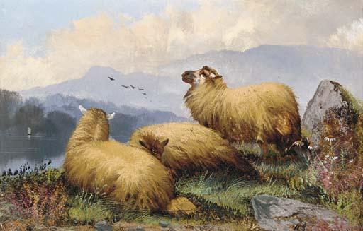 John W. Morris - Sheep resting in a mountainous landscape