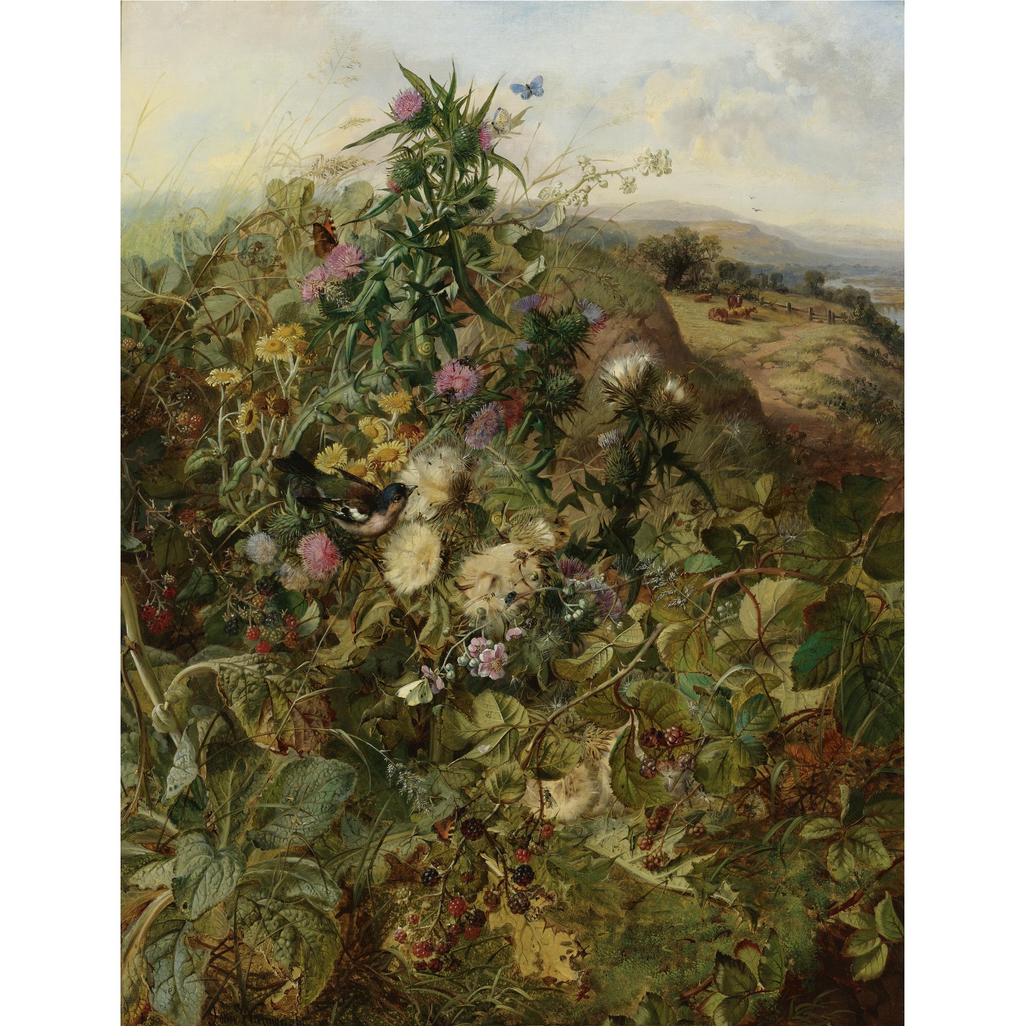 John Wainwright - British Wild Raspberries And Thistles