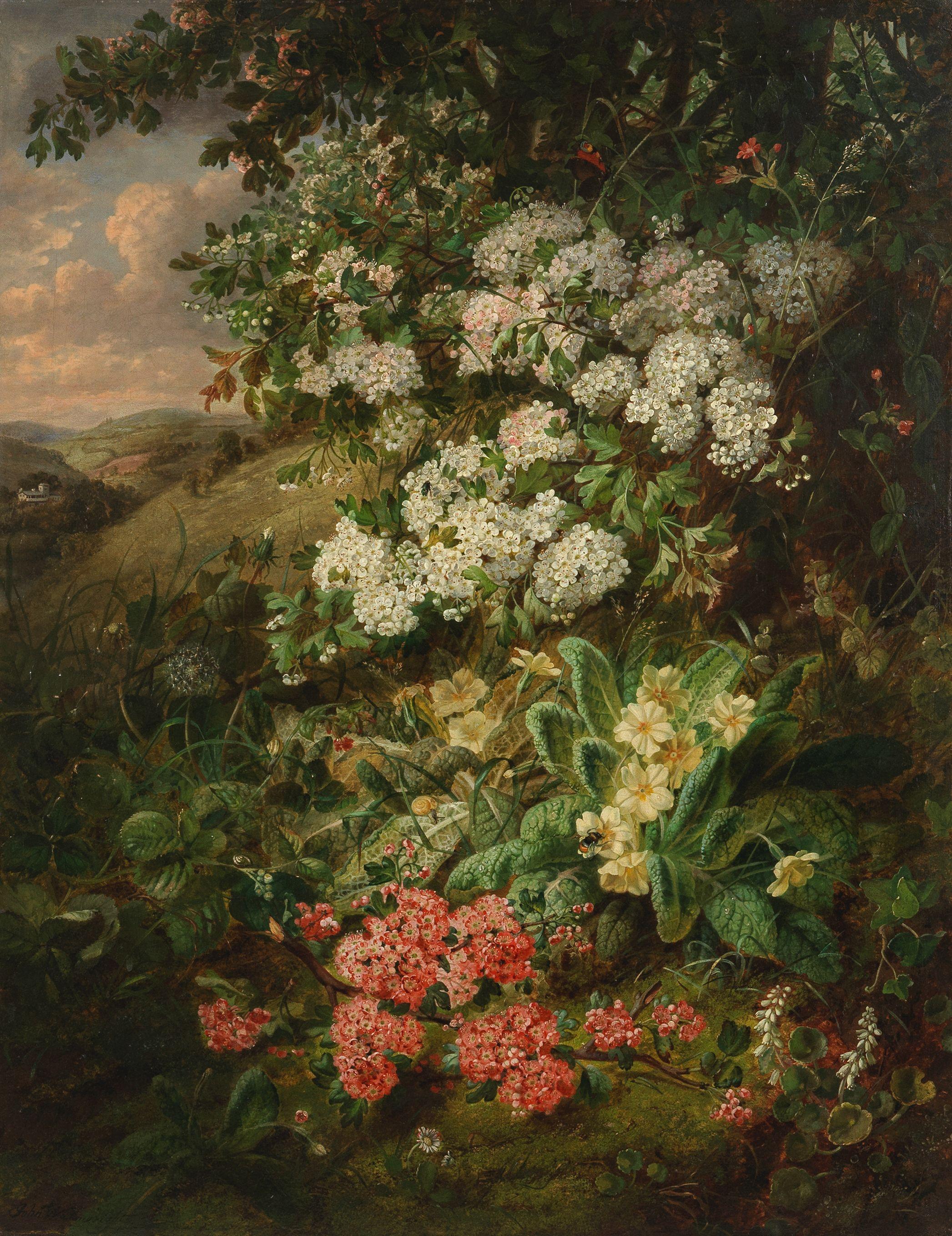 John Wainwright - Spring blossom and primroses