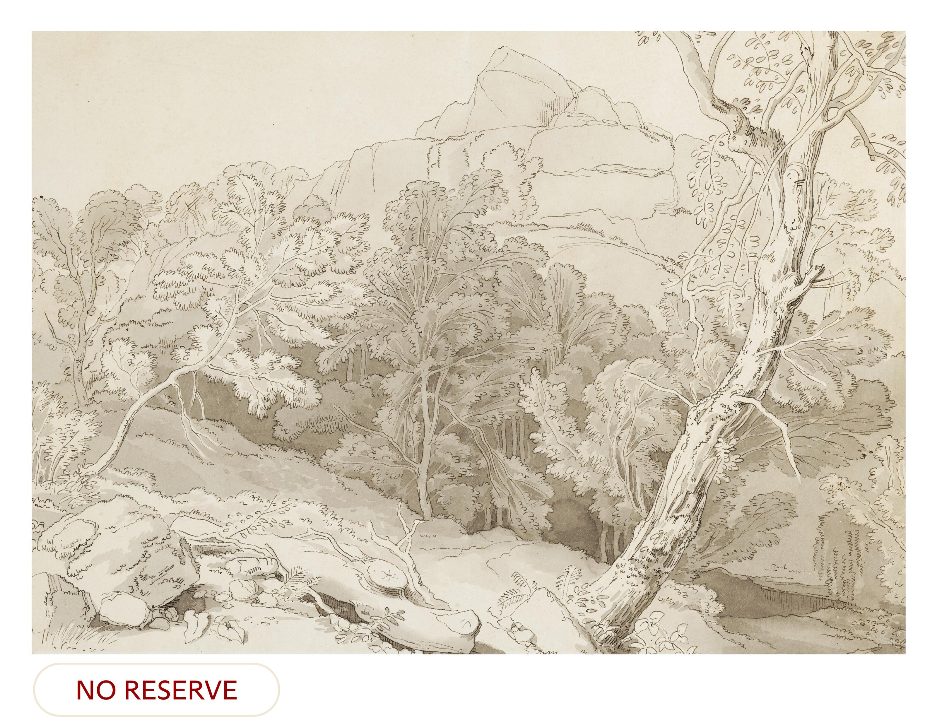 John White Abbott - Trees at Canonteign, Devon