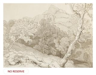 John White Abbott - Trees at Canonteign, Devon