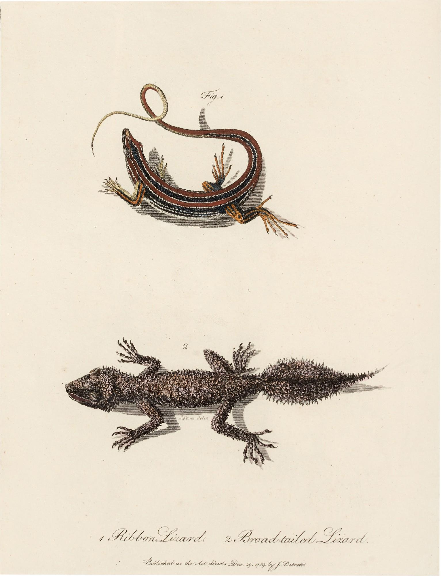 John White - Journal of a Voyage to New South Wales, 1790