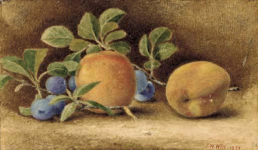 John William Hill - Still Life with Peaches and Plums