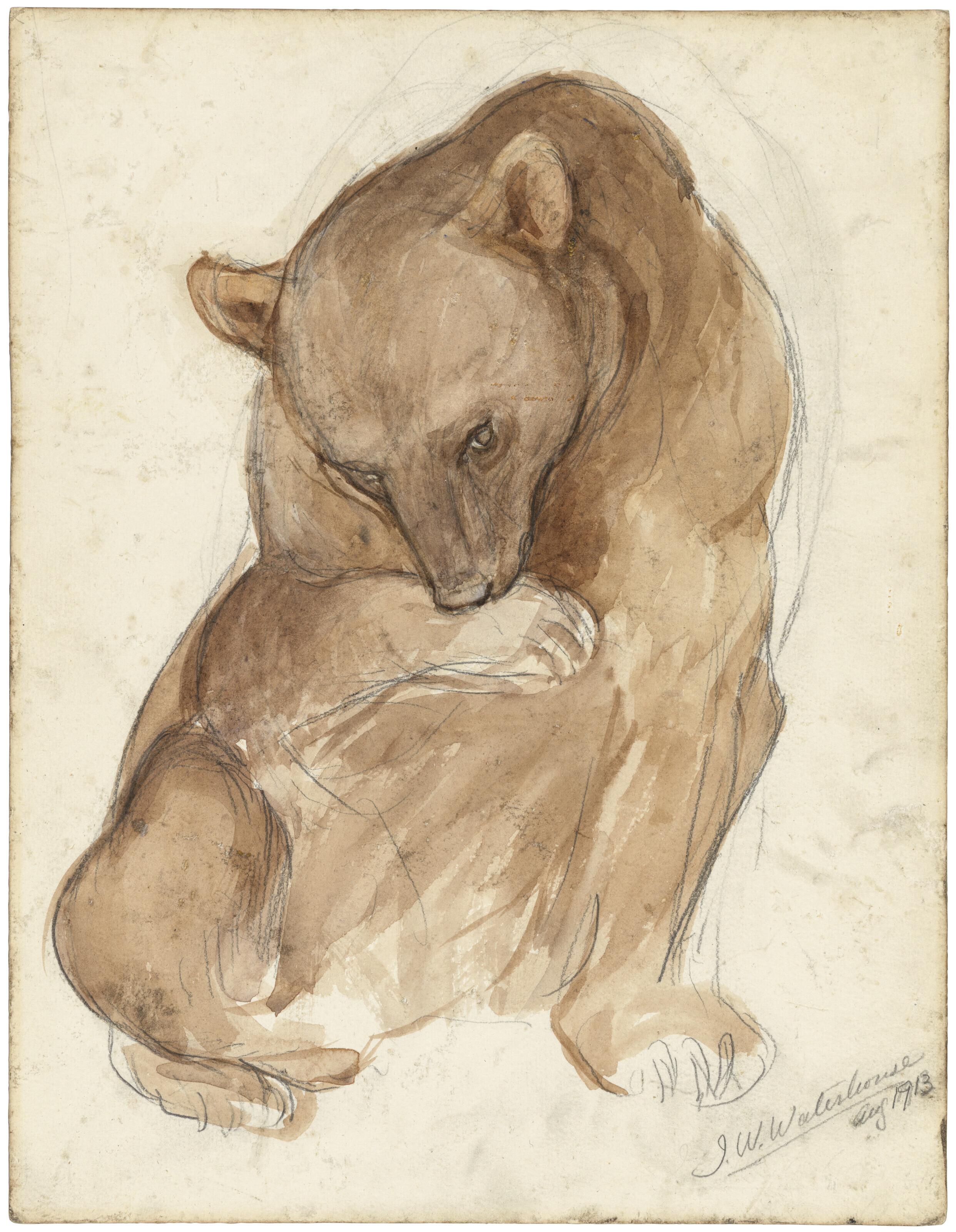 John William Waterhouse, R.A. - A sketch of a bear