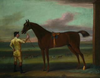 John Wootton - A Dark Chestnut Racehorse Held By A Jockey, By The Rubbing Down House, Newmarket Heath