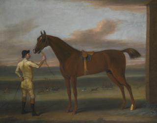 John Wootton - A Dark Chestnut Racehorse Held By A Jockey, By The Rubbing Down House, Newmarket Heath