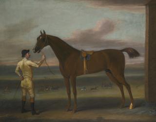 John Wootton - A Dark Chestnut Racehorse Held By A Jockey, By The Rubbing Down House, Newmarket Heath