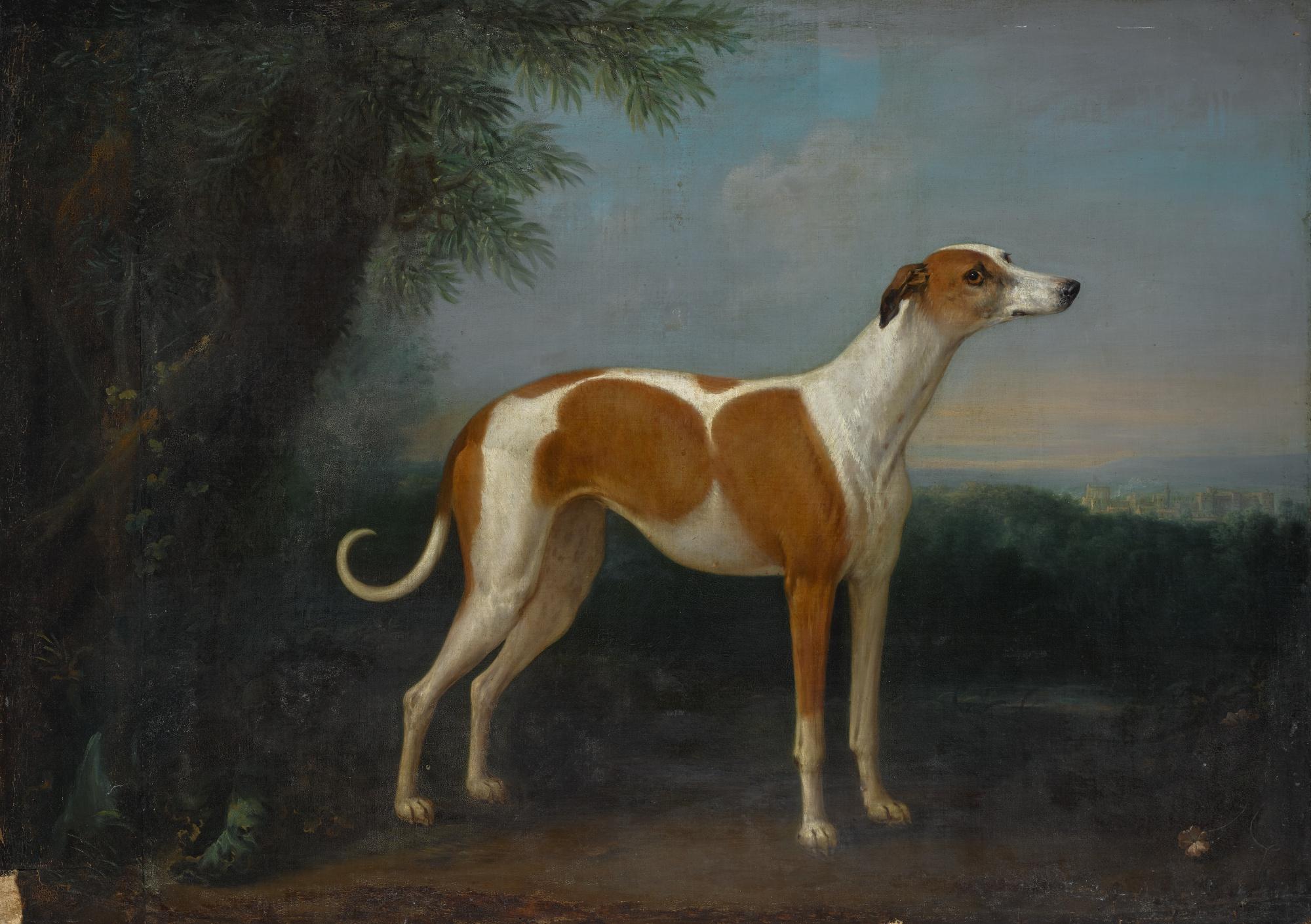 John Wootton - A Greyhound In A Landscape, With A View Of Windsor Castle Beyond
