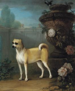 John Wootton - A Pug Beside An Classical Urn