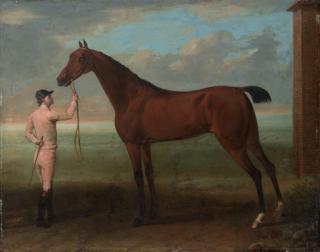 John Wootton - Coquette, a Bay Mare, held by a Groom, beside the King\'s Stables at Newmarket, near the Finish of the Beacon Course