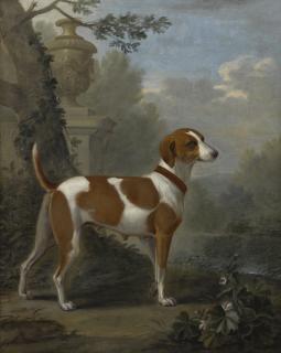 John Wootton - Portrait Of The Duke Of Hamilton’S Hound \