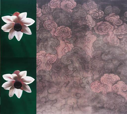 John Young - Clouds With Generic Flower Study # 1