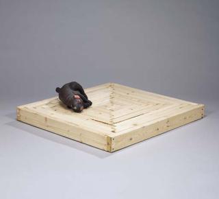 Jon Pylypchuk - Dying and a Belly Full of Anger