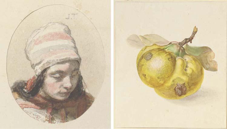 Jonas-Albertus Brandt - A Quince; And A Purple And Yellow Parrot Tulip