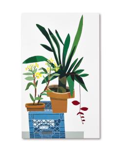 Jonas Wood - Blue Crate With Still Life