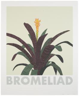 Jonas Wood - Bromeliad