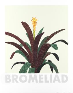 Jonas Wood - Bromeliad