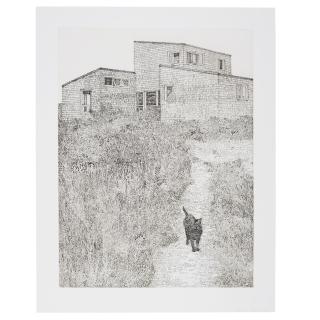 Jonas Wood - C.M.Z. House on M.V. with Ptolemy