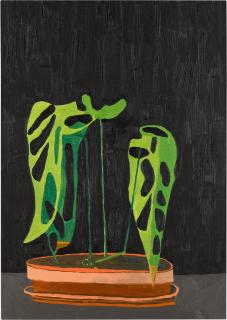 Jonas Wood - Night Plant