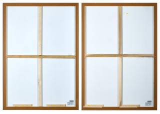 Jonas Wood - Orchid Clipping (Diptych)