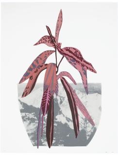 Jonas Wood - Untitled: one print