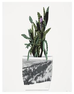 Jonas Wood - Untitled