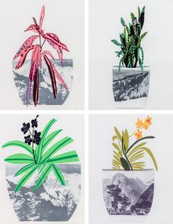 Jonas Wood - Untitled