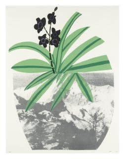 Jonas Wood - Untitled