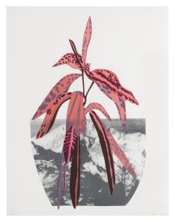 Jonas Wood - Untitled