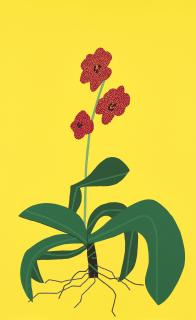 Jonas Wood - Yellow Clipping 2