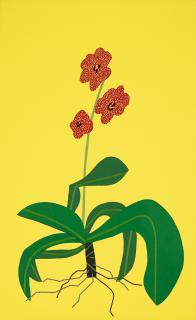 Jonas Wood - Yellow Clipping 2