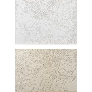 Jonathan Callan - South West America: Buried Names & Absent Names: Diptych