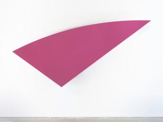 Jonathan Horowitz - Pink Curve